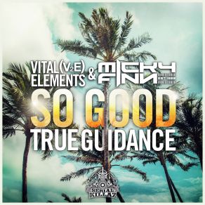 Download track So Good (Instrumental) Mickey Finn, Vital Elements