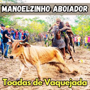 Download track Amor Proibido De Vaqueiro Manoelzinho Aboiador