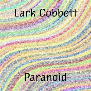 Download track Paranoid (Radio Edit) Lark Cobbett