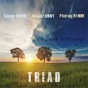 Download track Sunfishripple Dónal Lunny, Padraig Rynne, Sylvain Barou