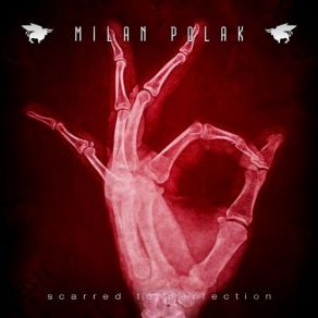 Download track Belong Milan Polak