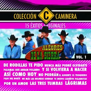 Download track Asi Como Hoy Alegres De La Sierra