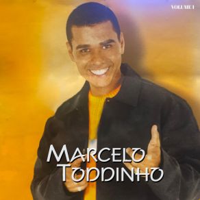 Download track Voltei Pra Ficar Com Você Marcelo Toddinho