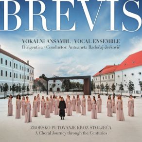 Download track Miklós Kocsár: Salve Regina Vokalni Ansambl Brevis