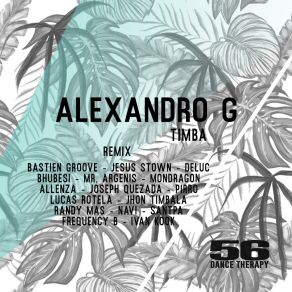 Download track Timba (Bhubesi Latin Remix) Alexandro G