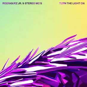 Download track Turn The Light On Stereo MC'S