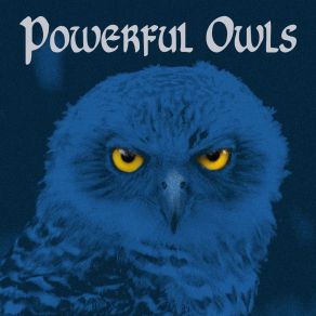 Download track Nothing We Have Seen (Remix) Powerful Owls