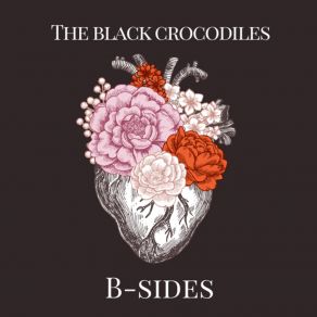 Download track Lo Sabes The Black Crocodiles