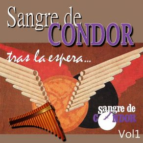 Download track El Cascabel (Méjico) Sangre De Condor