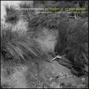 Download track Lament Wim Kegel, Matthew Mitchell, Zane Massey, Andor Horvath, The Intercontinentals