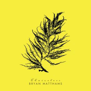 Download track Choiceless Bryan Matthams