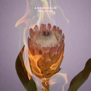 Download track Let Me In Anderholm