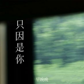 Download track 只因是你 (伴奏) 早晚晚