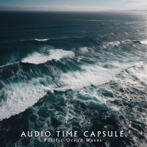 Download track Carmel-By-The-Sea (Ocean) Audio Time CapsuleThe Ocean