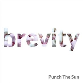 Download track Brevity Punch The Sun