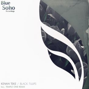 Download track Black Tulips (Original Mix) Kenan Teke