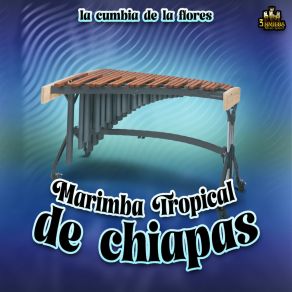 Download track Hiloa De Plata Marimba Tropical De Chiapas