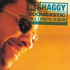 Download track Boombastic [Sting Remix] Shaggy