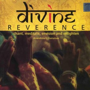 Download track Divine Envision Anandmurti Gurumaa