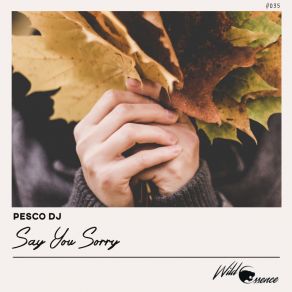 Download track Say You Sorry (Original Mix) Pesco DJ