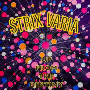 Download track Don`t Stay Strix Varia