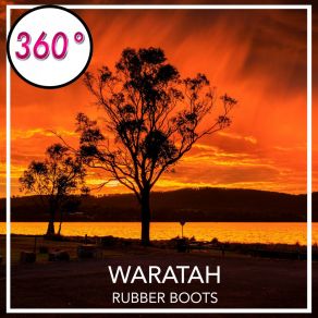 Download track Waratah (Instrumental Mix) Rubber Boots