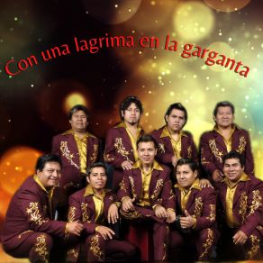 Download track La Fiesta De Las Abejas Super Grupo Simbolo 7