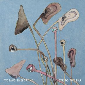 Download track The Snapping Of Shrimp Cosmo Sheldrake