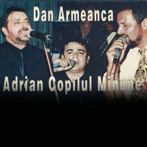 Download track Azi E Sarbatoare Vasile Armeanca