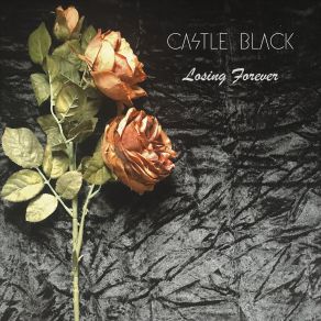 Download track Secret Hideaway Castle Black