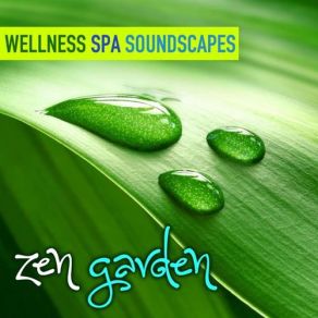 Download track Zen Garden (Six Senses Spa Mix) Ken Miura