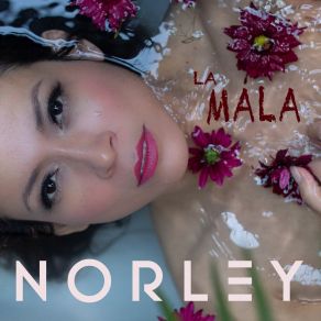 Download track Voy A Amar Norley