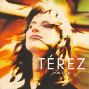 Download track Inconsolable Terez Montcalm