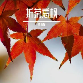 Download track 和你一起看海好吗 李雨祥