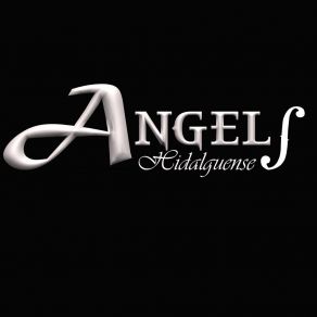 Download track Sueño Loco Ángel Hidalguense