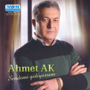 Download track Unuttun Mu Bir Tanem Ahmet Ak