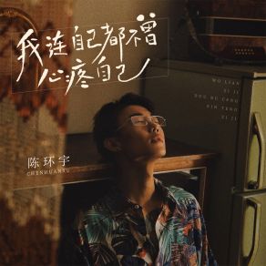 Download track 我连自己都不曾心疼自己 (DJBanan版) 陈环宇Banan