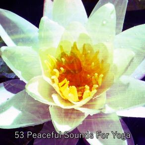 Download track Buddhist State Of Mind Relaxing Mindfulness Meditation Relaxation Maestro