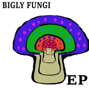 Download track The Meridian Bigly Fungi