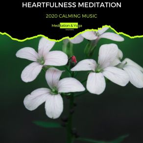 Download track Fragrance Of The Flower Calm Music