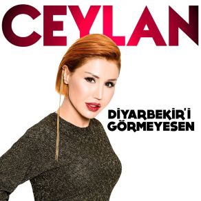 Download track Diyarbekir I Görmeyesen Ceylan