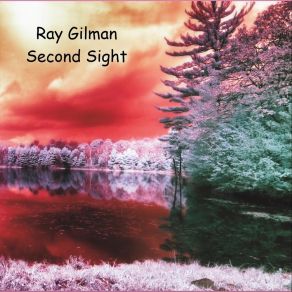 Download track I'll Take My Chances Ray Gilman