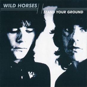 Download track In The City The Wild Horses