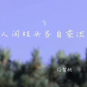 Download track 沉默是唯一解药 任智桃