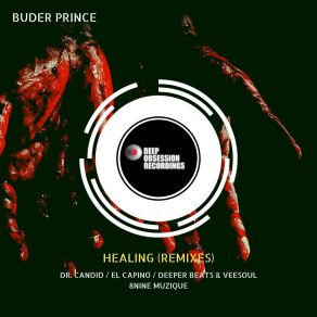 Download track Healing (Dr. Candid Remix) Buder PrinceDr. Candid