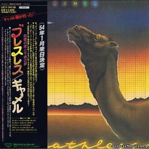 Download track Starlight Ride Camel