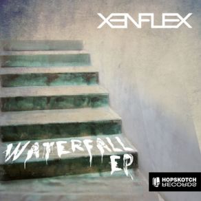 Download track Taylor Made Xenflex