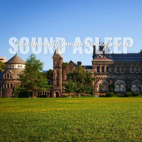 Download track Quiet University Campus Evening Sounds, Pt. 20 Elijah Wagner