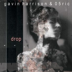 Download track Life Gavin Harrison, 05Ric