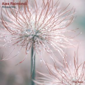 Download track Raimondi (Original Mix) Alex Raimondi